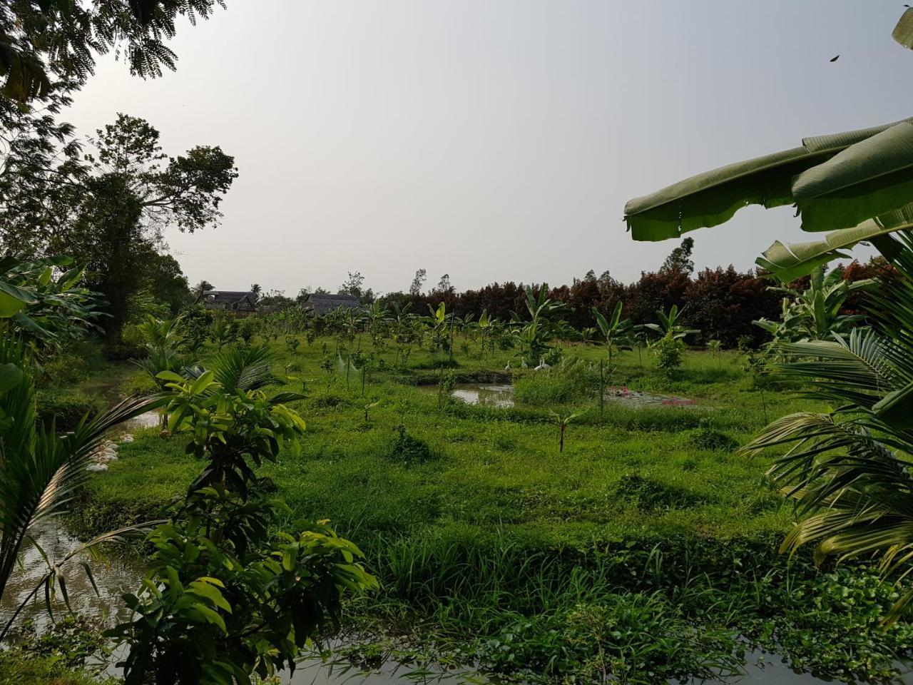 Mekong Delta Ricefield Lodge Can Tho Dış mekan fotoğraf